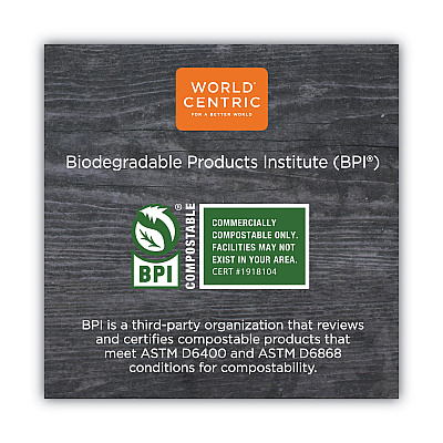 World Centric TPLA Compostable Cutlery, Spoon, 6", White, 750/Carton (WORSPPSI)