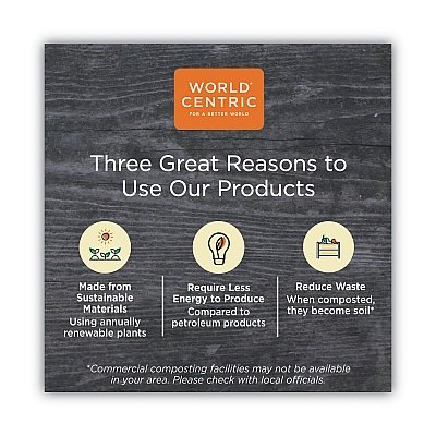World Centric TPLA Compostable Cutlery, Spoon, 6", White, 750/Carton (WORSPPSI)