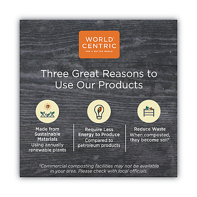 World Centric TPLA Compostable Cutlery, Knife, 6.7", White, 750/Carton (WORKNPSI)