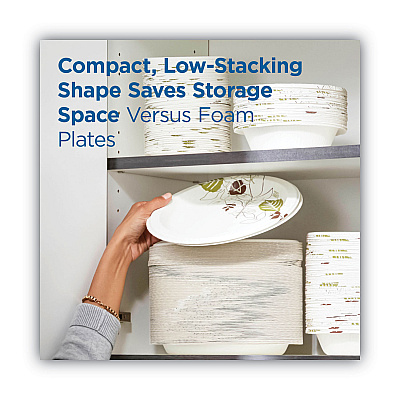 Dixie Pathways Soak-Proof Shield Mediumweight Paper Plates, 8.5" dia, Green/Burgundy, 125/Pack (DXEUX9PATHPK)