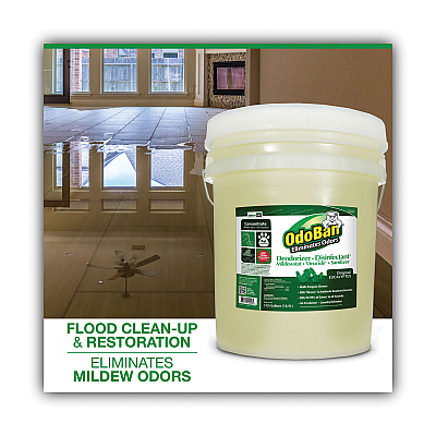 OdoBan Concentrated Odor Eliminator and Disinfectant, Eucalyptus, 5 gal Pail (ODO9110625G)