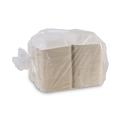 Boardwalk Bagasse Food Containers, Hinged-Lid, 1-Compartment 9 x 6 x 3.19, White, Sugarcane, 125/Sleeve, 2 Sleeves/Carton (BWKHINGEWFHG1C9)