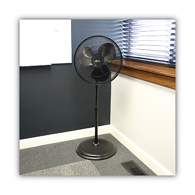 Alera 16" 3-Speed Oscillating Pedestal Stand Fan, Metal, Plastic, Black (ALEFANP16B)