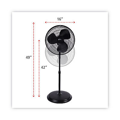 Alera 16" 3-Speed Oscillating Pedestal Stand Fan, Metal, Plastic, Black (ALEFANP16B)