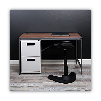 Alera File Pedestal, Left or Right, 2 Legal/Letter-Size File Drawers, Light Gray, 14.96" x 19.29" x 27.75" (ALEPAFFLG)