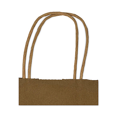 Prime Time Packaging Kraft Paper Bags, Natural Twisted-Paper Handles, Regal Size, 12" x 9" x 15.75", Natural, 200/Carton (PTENK12916)