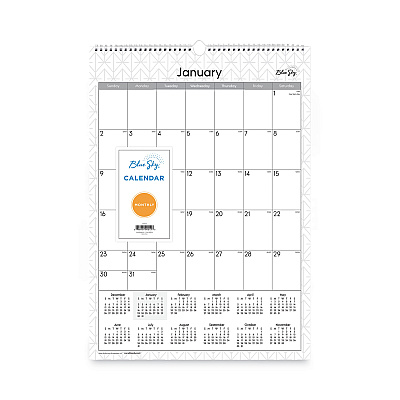 Blue Sky Enterprise Wall Calendar, Geometric Artwork, 12 x 17, White/Gray Sheets, 12-Month (Jan to Dec): 2026 (117373)