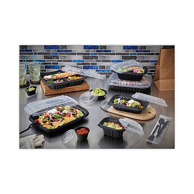 Pactiv Evergreen EarthChoice Entree2Go Takeout Container Vented Lid, 5.65 x 4.25 x 0.93, Clear, Plastic, 600/Carton (PCTYCNV6X4PPDL)