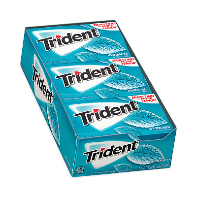 Trident Sugar-Free Gum, Wintergreen, 14 Sticks/Pack, 12 Packs/Carton (GRR30400058)