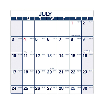 AT-A-GLANCE Academic Erasable Reversible Extra Large Wall Calendar, 48 x 32, White/Blue/Red, 12 Month (July to June): 2025 to 2026 (PM36AP28)