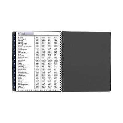 AT-A-GLANCE DayMinder Academic Monthly Desktop Planner, Twin-Wire Binding, 11 x 8.5, Charcoal Cover, 12-Month (July to June): 2025-2026 (AYC47045)