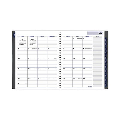 AT-A-GLANCE DayMinder Academic Monthly Desktop Planner, Twin-Wire Binding, 11 x 8.5, Charcoal Cover, 12-Month (July to June): 2025-2026 (AYC47045)