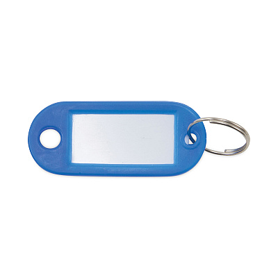 Advantus Key Tags Label Window, 0.88 x 0.19 x 2, Dark Blue, 6/Pack (AVTKEY98019)