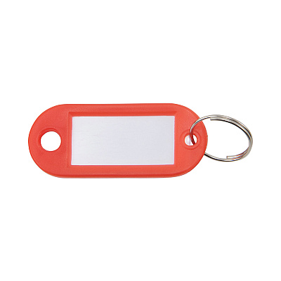 Advantus Key Tags Label Window, 0.88 x 0.19 x 2, Red, 6/Pack (AVTKEY98018)