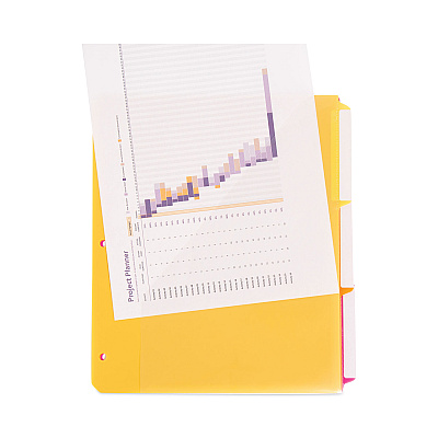 Smead Three-Ring Binder Poly Index Dividers with Pocket, 9.75 x 11.25, Assorted Colors, 30/Box (SMD89421)