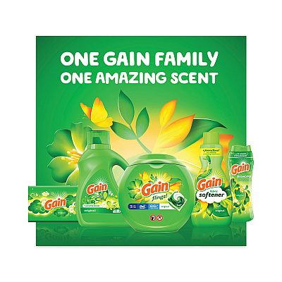 Gain Flings Detergent Pods, Orginal, 81 Pods/Tub (PGC91792EA)