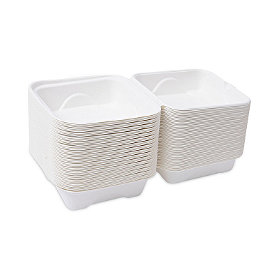 Eco-Products Bagasse Hinged Clamshell Containers, 6 x 6 x 3, White, Sugarcane, 50/Pack, 10 Packs/Carton (ECOEPHC6)