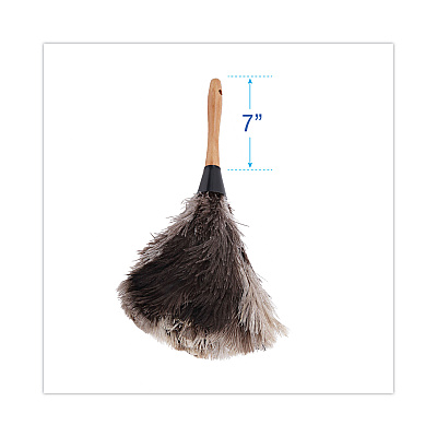 Boardwalk Professional Ostrich Feather Duster, 7" Handle (BWK13FD)