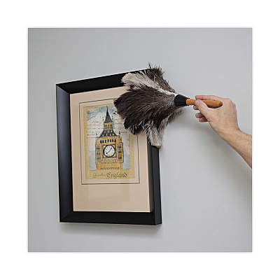 Boardwalk Professional Ostrich Feather Duster, 7" Handle (BWK13FD)