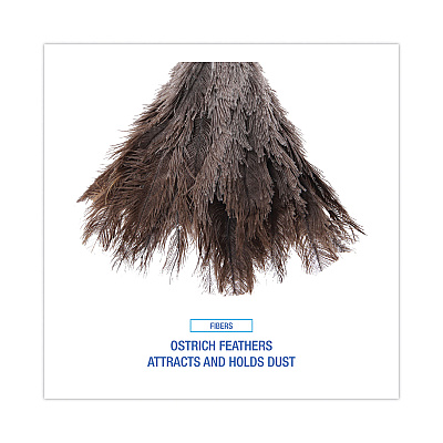 Boardwalk Professional Ostrich Feather Duster, Gray, 14" Length, 6" Handle (BWK14FD)