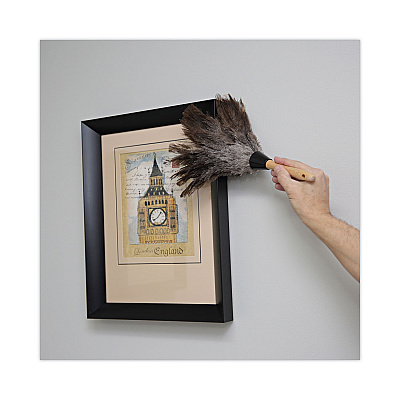 Boardwalk Professional Ostrich Feather Duster, Gray, 14" Length, 6" Handle (BWK14FD)