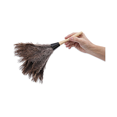 Boardwalk Professional Ostrich Feather Duster, Gray, 14" Length, 6" Handle (BWK14FD)