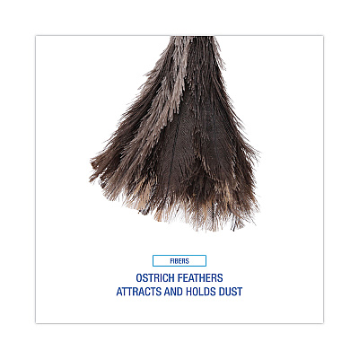 Boardwalk Professional Ostrich Feather Duster, 13" Handle (BWK23FD)