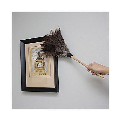 Boardwalk Professional Ostrich Feather Duster, 13" Handle (BWK23FD)