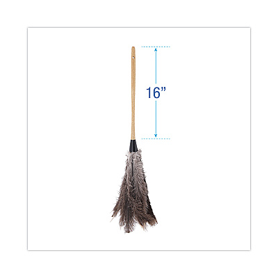 Boardwalk Professional Ostrich Feather Duster, 16" Handle (BWK31FD)