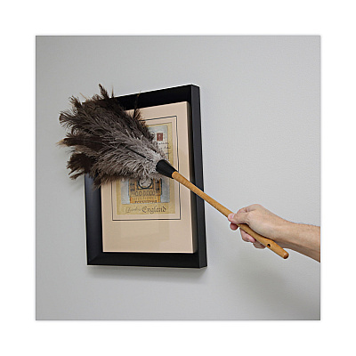 Boardwalk Professional Ostrich Feather Duster, 16" Handle (BWK31FD)