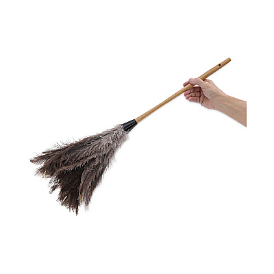Boardwalk Professional Ostrich Feather Duster, 16" Handle (BWK31FD)