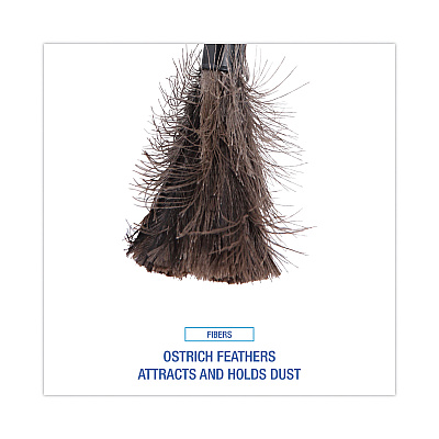 Boardwalk Retractable Feather Duster, 9" to 14" Handle (BWK914FD)