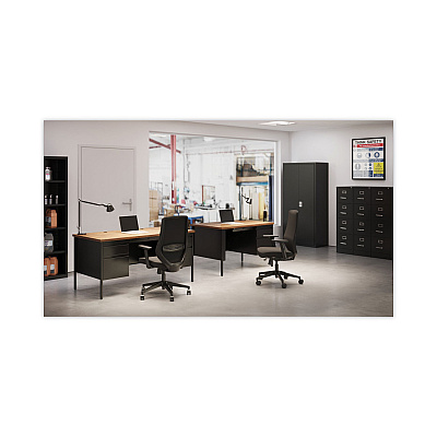 Alera Four-Drawer Economy Vertical File, Letter-Size File Drawers, 15" x 22" x 52", Black (ALEHVF152252BL)