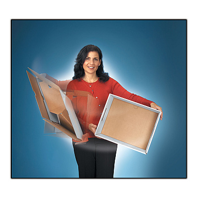 Bankers Box STOR/FILE Medium-Duty 100% Recycled Storage Boxes, Legal Files, 15.88" x 25.38" x 10.25", Kraft/Green, 12/Carton (FEL1270201)