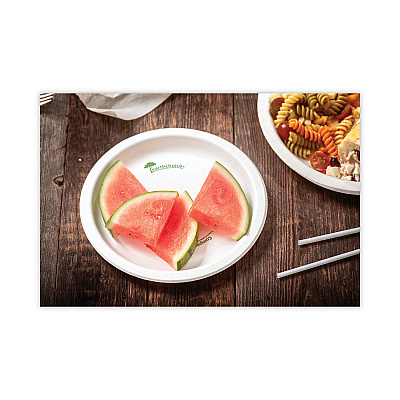 Pactiv Evergreen EarthChoice Pressware Compostable Dinnerware, Plate, 9" dia, White, 450/Carton (PCTPSP09EC)