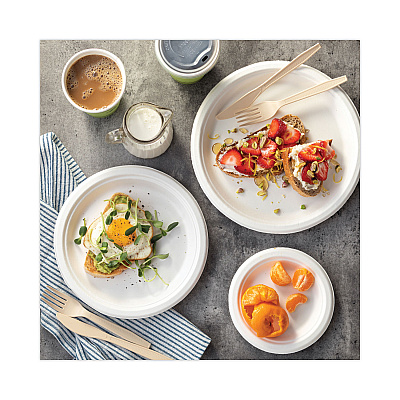 Pactiv Evergreen EarthChoice Compostable Fiber-Blend Bagasse Dinnerware, Plate, 6" dia, Natural, 1,000/Carton (PCTMC500060001)