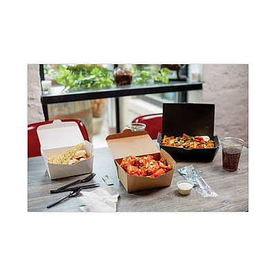 Pactiv Evergreen EarthChoice OneBox Paper Box, 66 oz, 6.5 x 4.5 x 3.25, White, 160/Carton (PCTNOB03W)