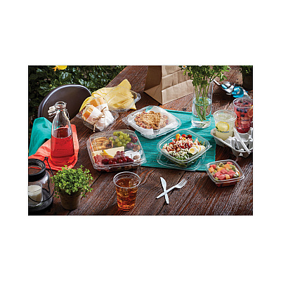 Pactiv Evergreen EarthChoice Square Recycled Bowl, 12 oz, 5 x 5 x 1.63, Clear, Plastic, 504/Carton (PCTSAC0512)