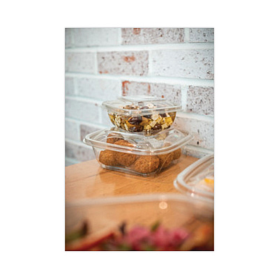 Pactiv Evergreen EarthChoice Square Recycled Bowl, 16 oz, 5 x 5 x 1.75, Clear, Plastic, 504/Carton (PCTSAC0516)
