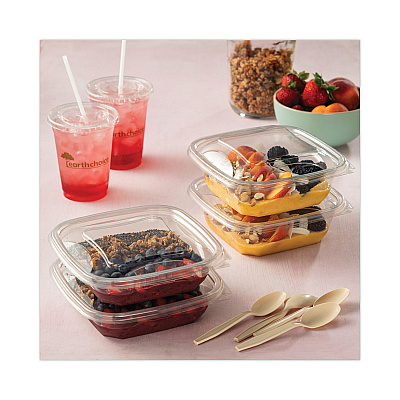 Pactiv Evergreen EarthChoice Recycled PET Container Lid, For 24-32 oz Container Bases, 7.38 x 7.38 x 0.82, Clear, Plastic, 300/Carton (PCTSACLD07)