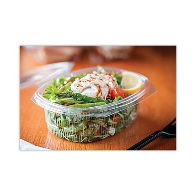 Pactiv Evergreen EarthChoice Recycled PET Hinged Container, 48 oz, 8.88 x 7.25 x 2.94, Clear, Plastic, 190/Carton (PCTYCA910480000)