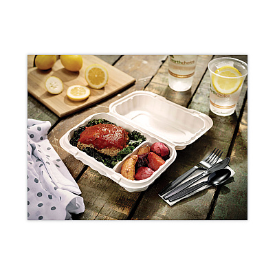 Pactiv Evergreen EarthChoice SmartLock Microwavable MFPP Hinged Lid Container, 2-Compartment, 9 x 6 x 3, White, Plastic, 270/Carton (PCTYCN809620000)