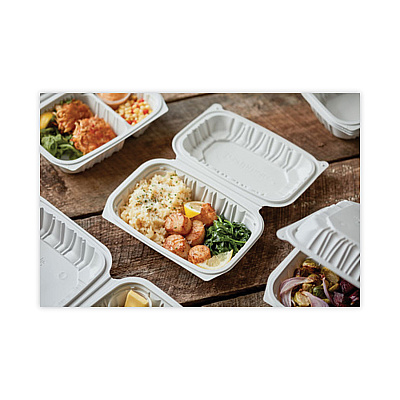 Pactiv Evergreen EarthChoice Vented Microwavable MFPP Hinged Lid Container, 9 x 6 x 3.1, White, Plastic, 170/Carton (PCTYCNW0205)