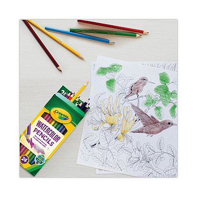 Crayola Watercolor Pencil Set, 3.3 mm, 2B, Assorted Lead and Barrel Colors, 24/Pack (CYO684304)