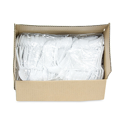 Pactiv Evergreen Fieldware Cutlery, Spoon, Mediumweight, White, 1,000/Carton (PCTYFWSWCH)