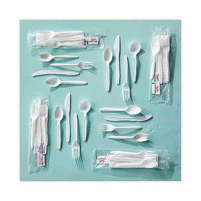 Pactiv Evergreen Fieldware Cutlery, Spoon, Mediumweight, White, 1,000/Carton (PCTYFWSWCH)