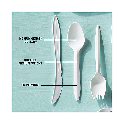 Pactiv Evergreen Fieldware Cutlery, Spoon, Mediumweight, White, 1,000/Carton (PCTYFWSWCH)