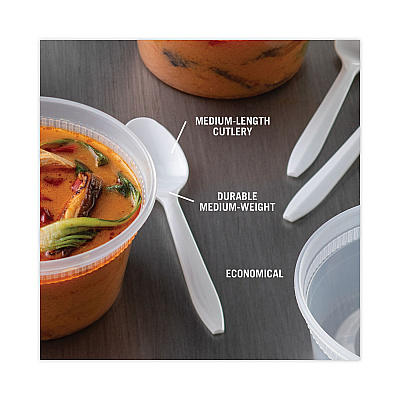 Pactiv Evergreen Fieldware Cutlery, Spoon, Mediumweight, White, 1,000/Carton (PCTYFWSWCH)