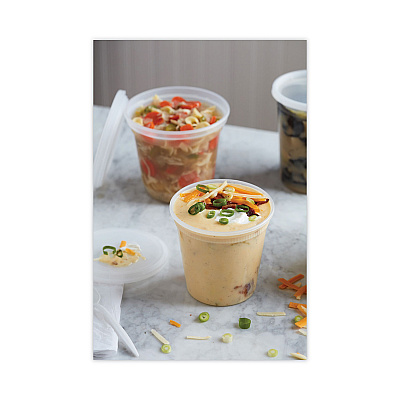 Pactiv Evergreen Newspring DELItainer Microwavable Container, 24 oz, 4.55 x 4.55 x 4.35, Clear, Plastic, 240/Carton (PCTYL2524)