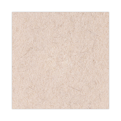 Boardwalk Natural Hog Hair Burnishing Floor Pads, 20" Diameter, Tan, 5/Carton (BWK4020NHE)